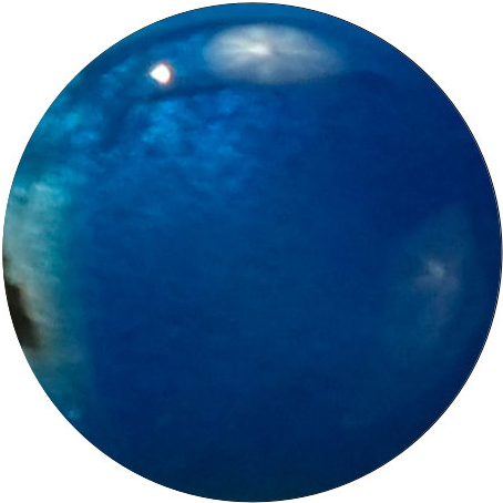 FR0045 Turquoise (Transparent)
