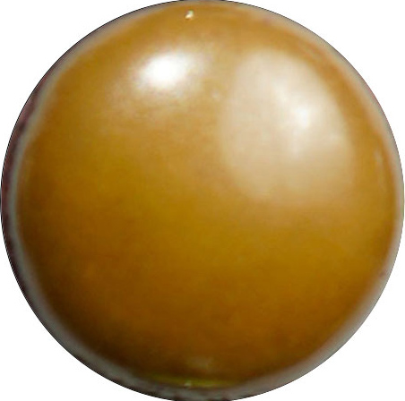 FR0307 Chestnut