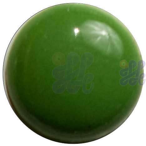 a4美国银底模版 P241 Grass Green