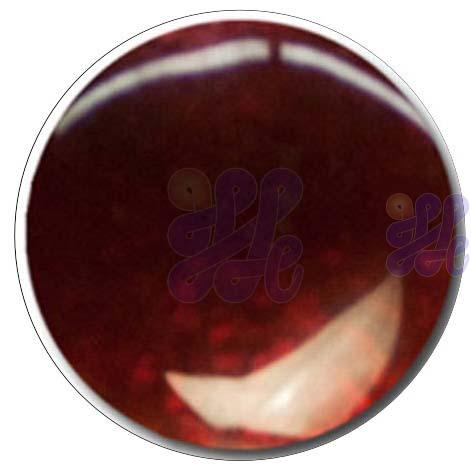S341 Medium Red