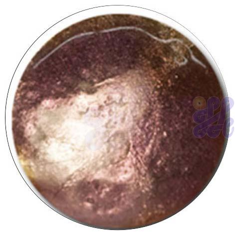 S383 Light Red-Purple