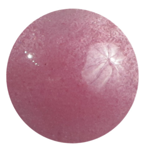 UK1685 Rose