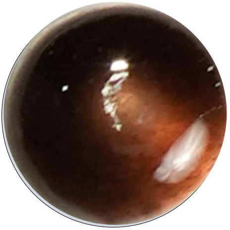 UK405 Mid Brown