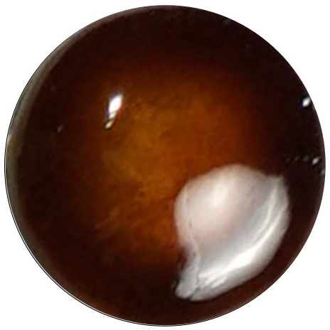 UK425 Copper Brown