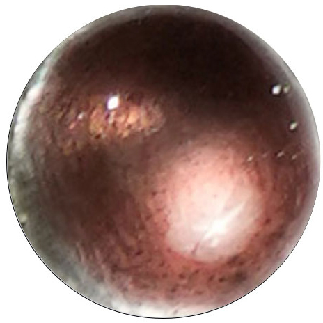 UK479 Red Mauve