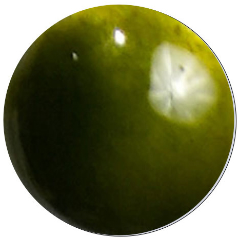 UK7230 Dark Yellow Green