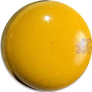 a4美国银底模版 US1240 Pine Yellow