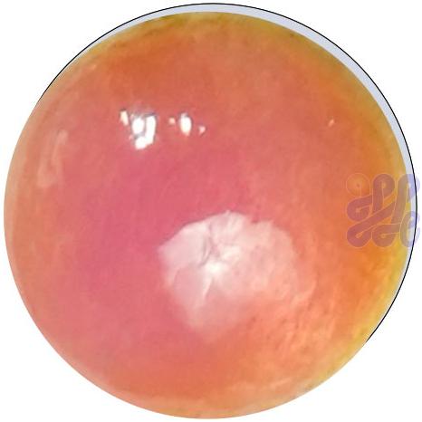 US2800   Opalescent Red (G)
