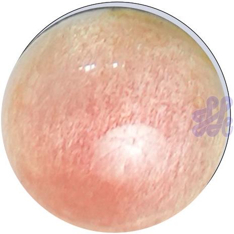 US2810 Geranium Pink (G)
