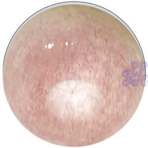 a4美国银底模版 US2825 China Pink (G)