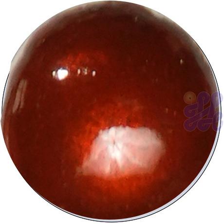 US2840   Mandarin Orange (C)