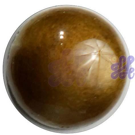 G751C Dense Brown 30g