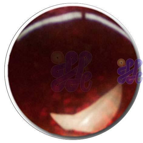 S341 Medium Red 30g