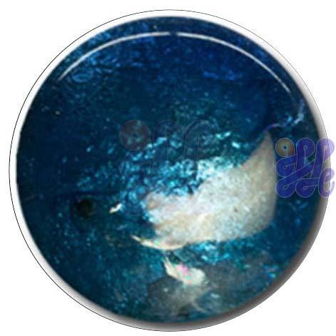 S371 Light Navy Water 30g