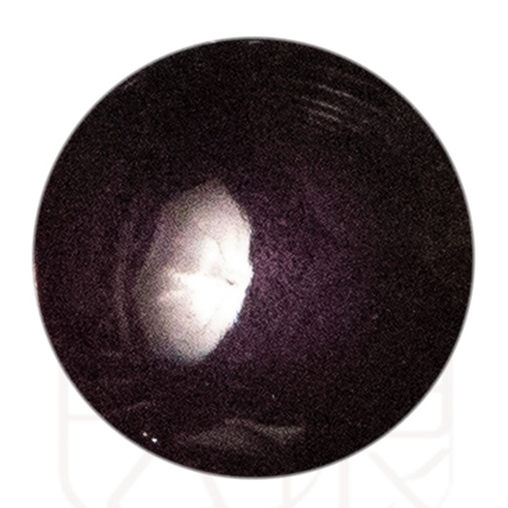 UK8105 30g