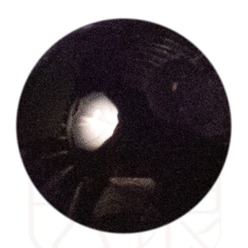 T222 30g