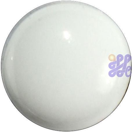 US1020   Titanium White 30g