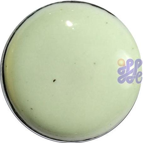 US1305 Pastel Green 30g