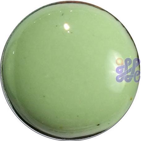 US1308   Lichen Green 30g