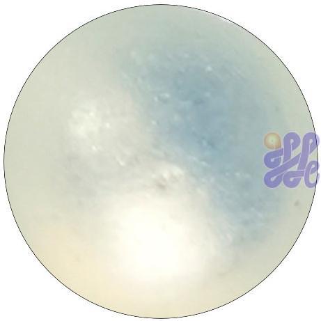 US2001 Opal Jewel Effect (A) (LUMP ONLY) 30g