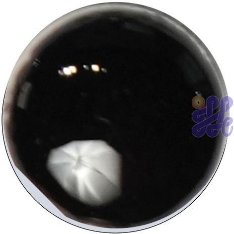 US2780   Manganese Purple 30g
