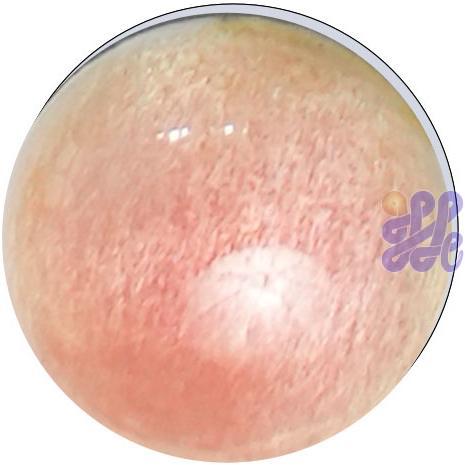 US2810    Geranium Pink (G) 30g