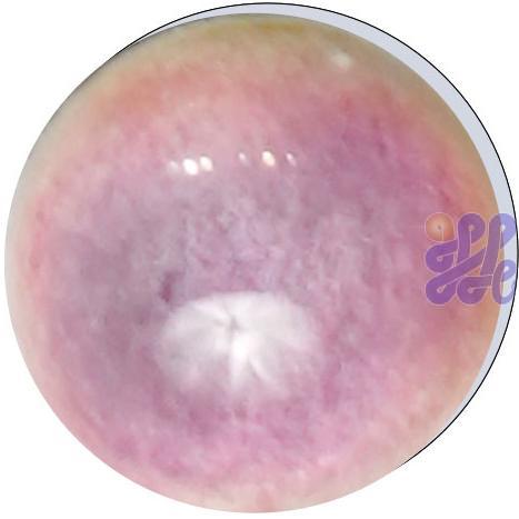 US2836   Raspberry (G) 30g